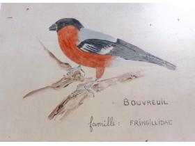 photo coins arrondis