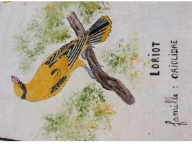 photo coins arrondis