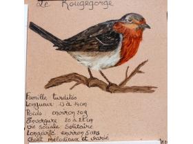 photo coins arrondis