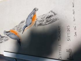 photo coins arrondis