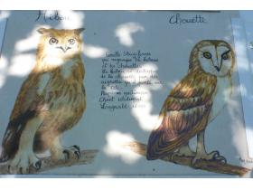 photo coins arrondis