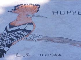 photo coins arrondis