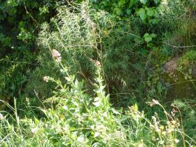 photo coins arrondis