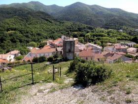 photo coins arrondis