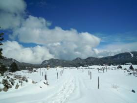 photo coins arrondis