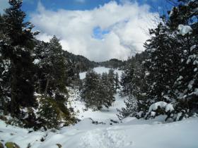 photo coins arrondis