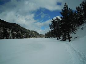 photo coins arrondis