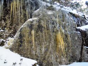 photo coins arrondis