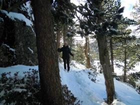 photo coins arrondis