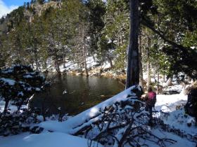 photo coins arrondis