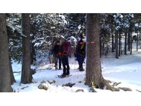 photo coins arrondis