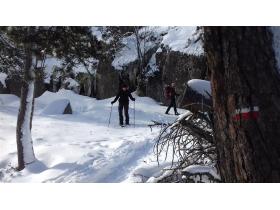 photo coins arrondis