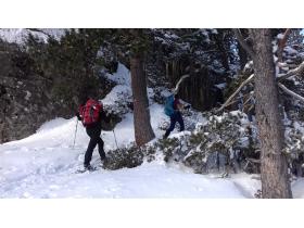 photo coins arrondis