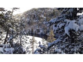 photo coins arrondis