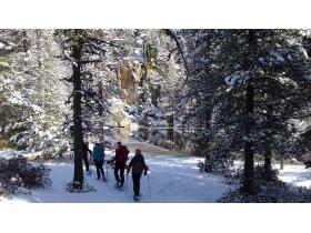 photo coins arrondis