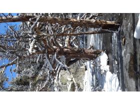 photo coins arrondis