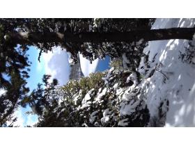 photo coins arrondis