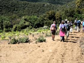 photo coins arrondis