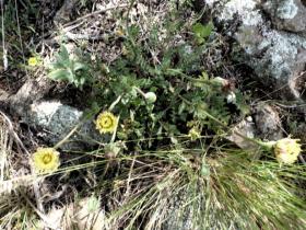 photo coins arrondis