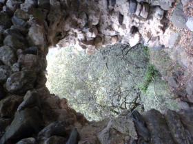 photo coins arrondis