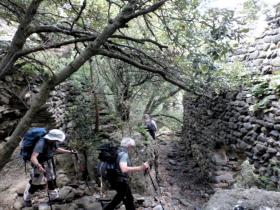 photo coins arrondis