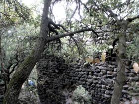 photo coins arrondis