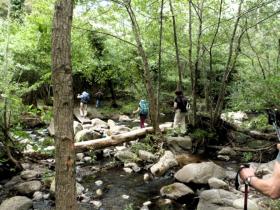 photo coins arrondis