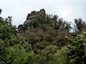 photo coins arrondis