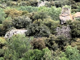 photo coins arrondis