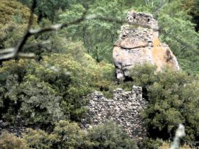 photo coins arrondis