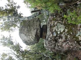 photo coins arrondis