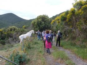 photo coins arrondis