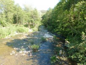 photo coins arrondis