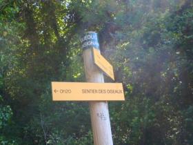 photo coins arrondis