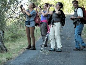 photo coins arrondis