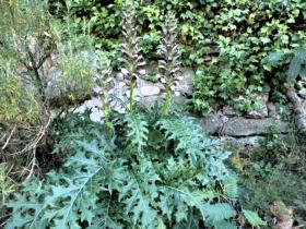 photo coins arrondis