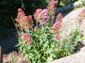 photo coins arrondis