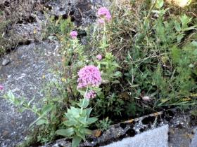 photo coins arrondis