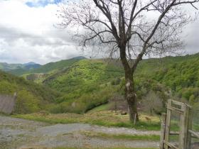 photo coins arrondis