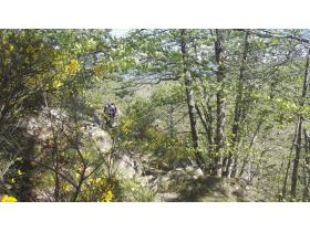 photo coins arrondis