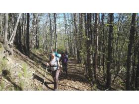 photo coins arrondis