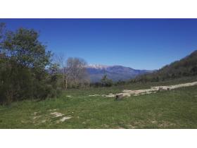 photo coins arrondis