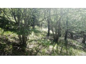 photo coins arrondis