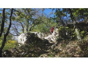 photo coins arrondis