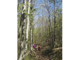 photo coins arrondis