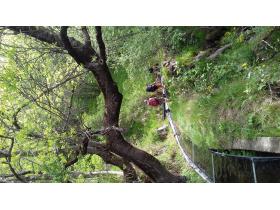 photo coins arrondis