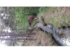 photo coins arrondis