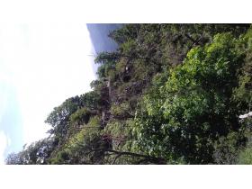 photo coins arrondis