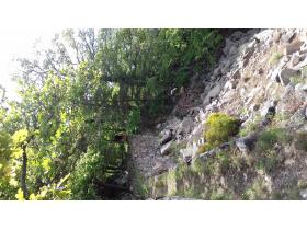 photo coins arrondis