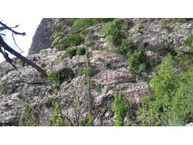 photo coins arrondis